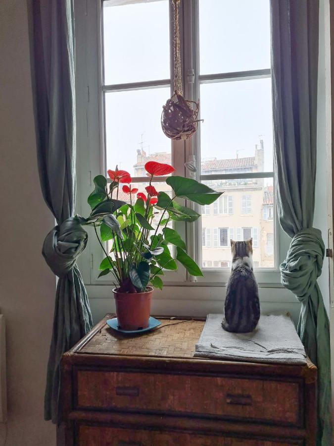 Jolie Chambre Dans Appartement Cosy En Plein Centre Marseille Ngoại thất bức ảnh